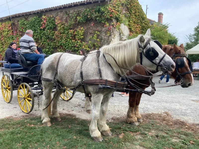 Portes ouvertes au Domaine Courbin Héritage : 19 et 20 octobre 2024